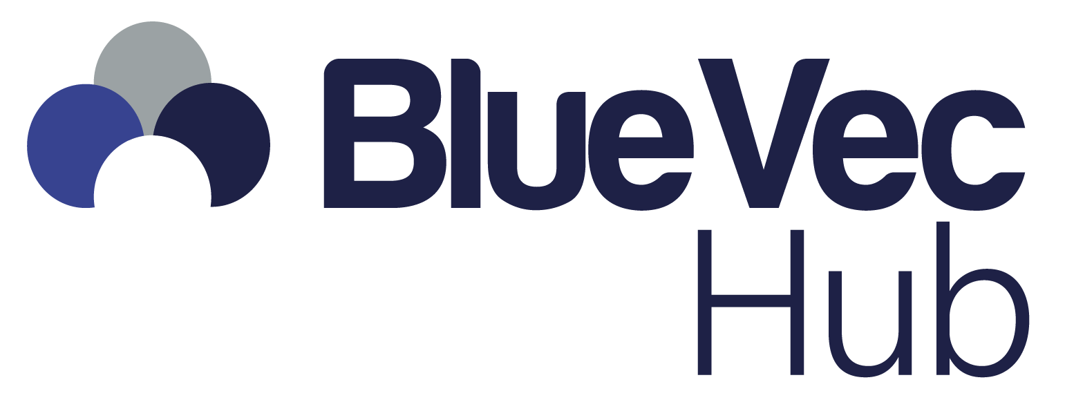 BlueVecHub – Transformando Dados e Network em Eficiência e Perfomance.